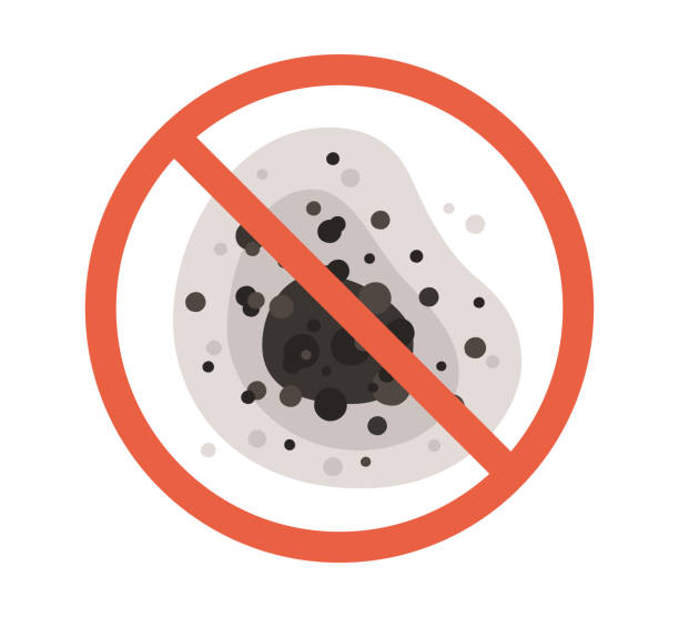 Best Biohazard Mold Removal  in Las Animas, CO
