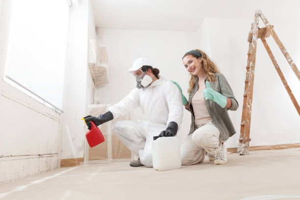 Best Mold Damage Restoration  in Las Animas, CO