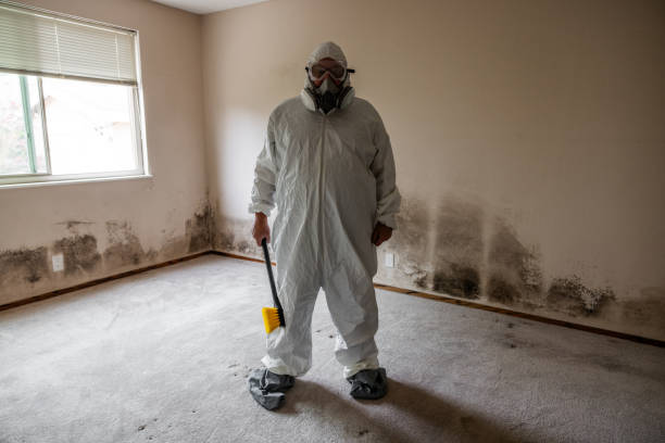 Best Mold Remediation for Healthcare Facilities  in Las Animas, CO